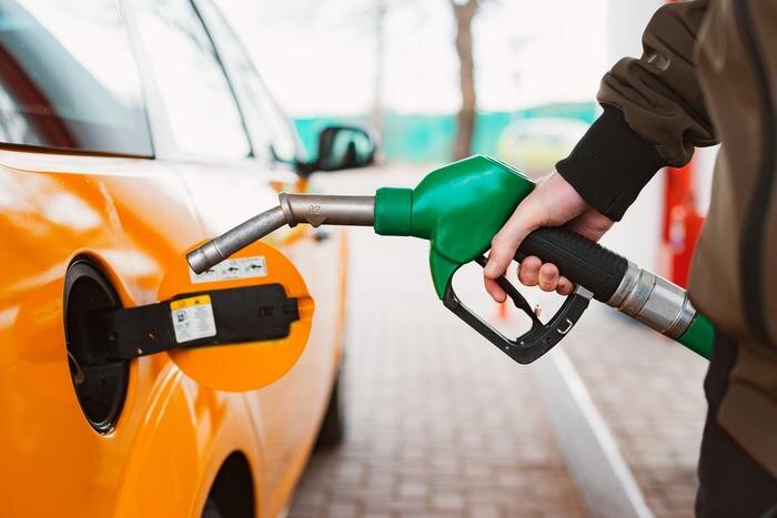 Обложка © Shutterstock / FOTODOM / Juliya Shangarey