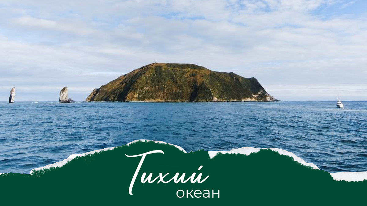 Остров старичков.