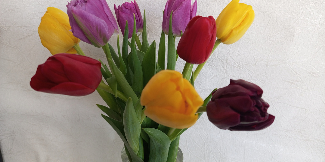 Специфические воспоминания! 😵‍💫