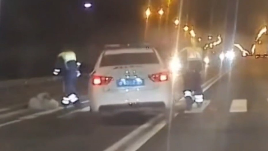    Полицейские на патрульной машине сбили женщину и ребёнка в Тосно, Бастрыкин требует доклад Автор фото: t.me/doroga_47