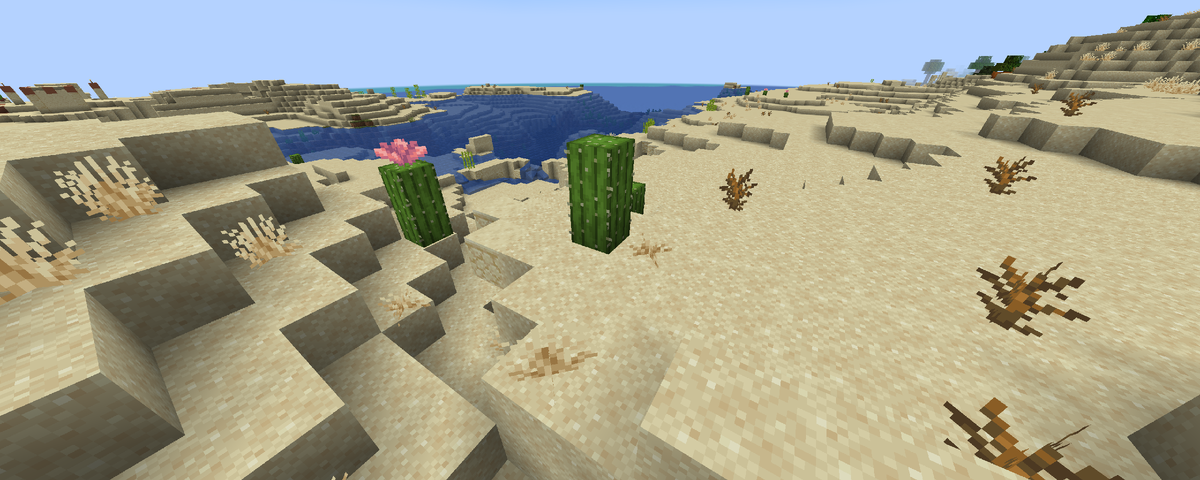 Пустыня в Майнкрафте