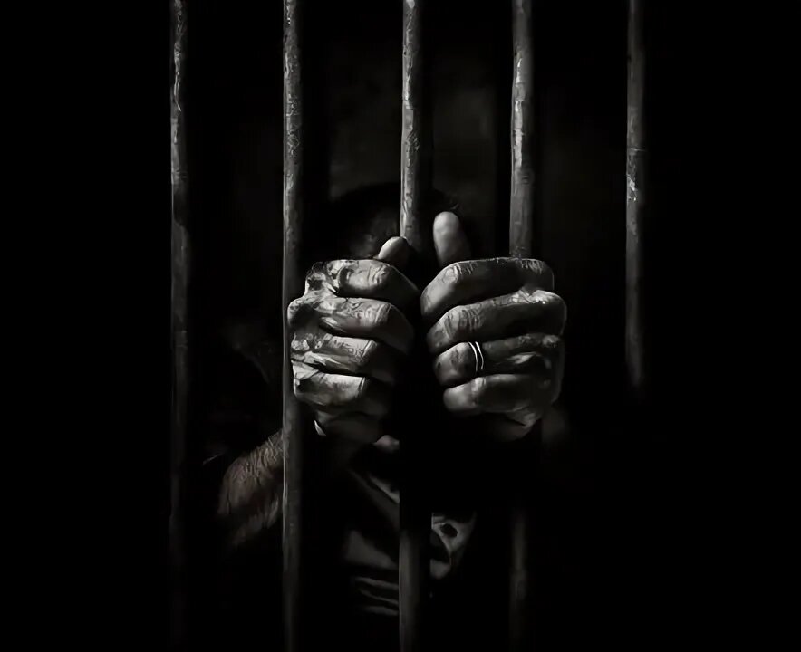 из интернета