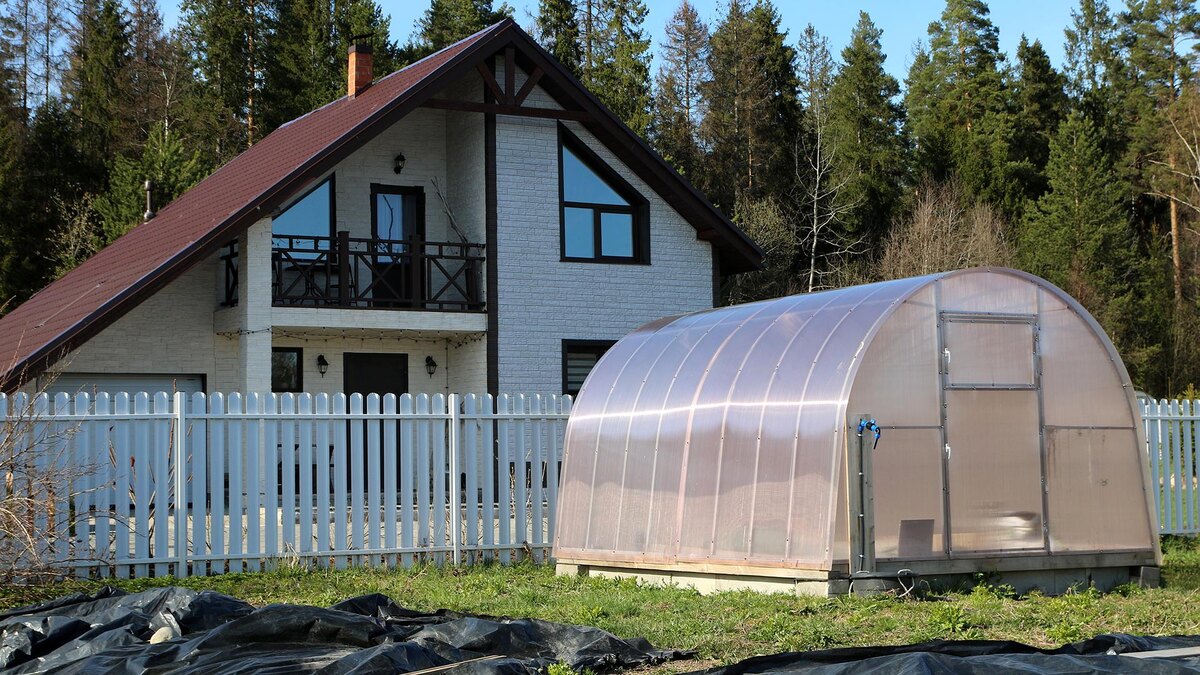    Фото: Maksim Konstantinov/globallookpress.com