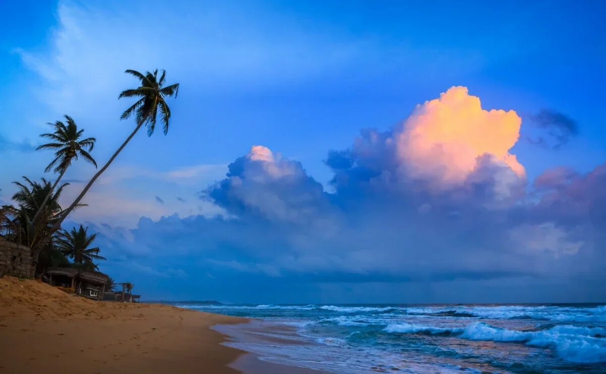    Что с российскими туристами на Шри-Ланке и как улететь оттуда