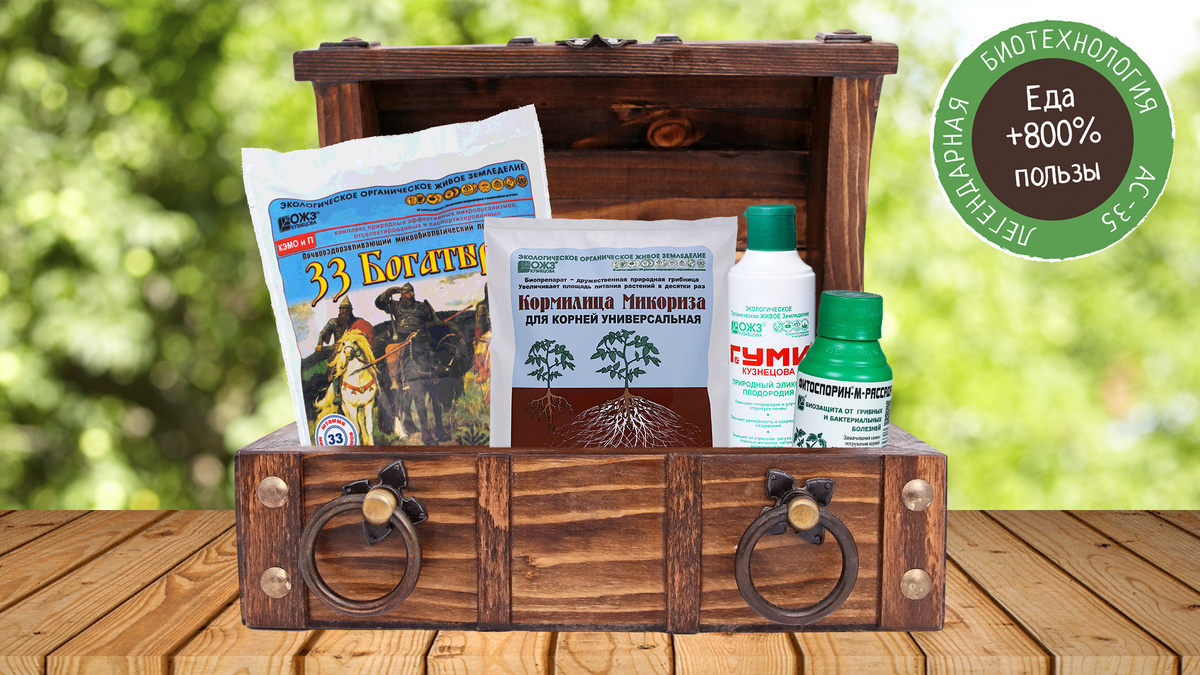 Фото из открытых источников