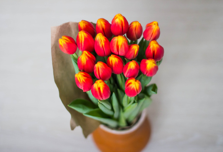 фото: pxhere.com