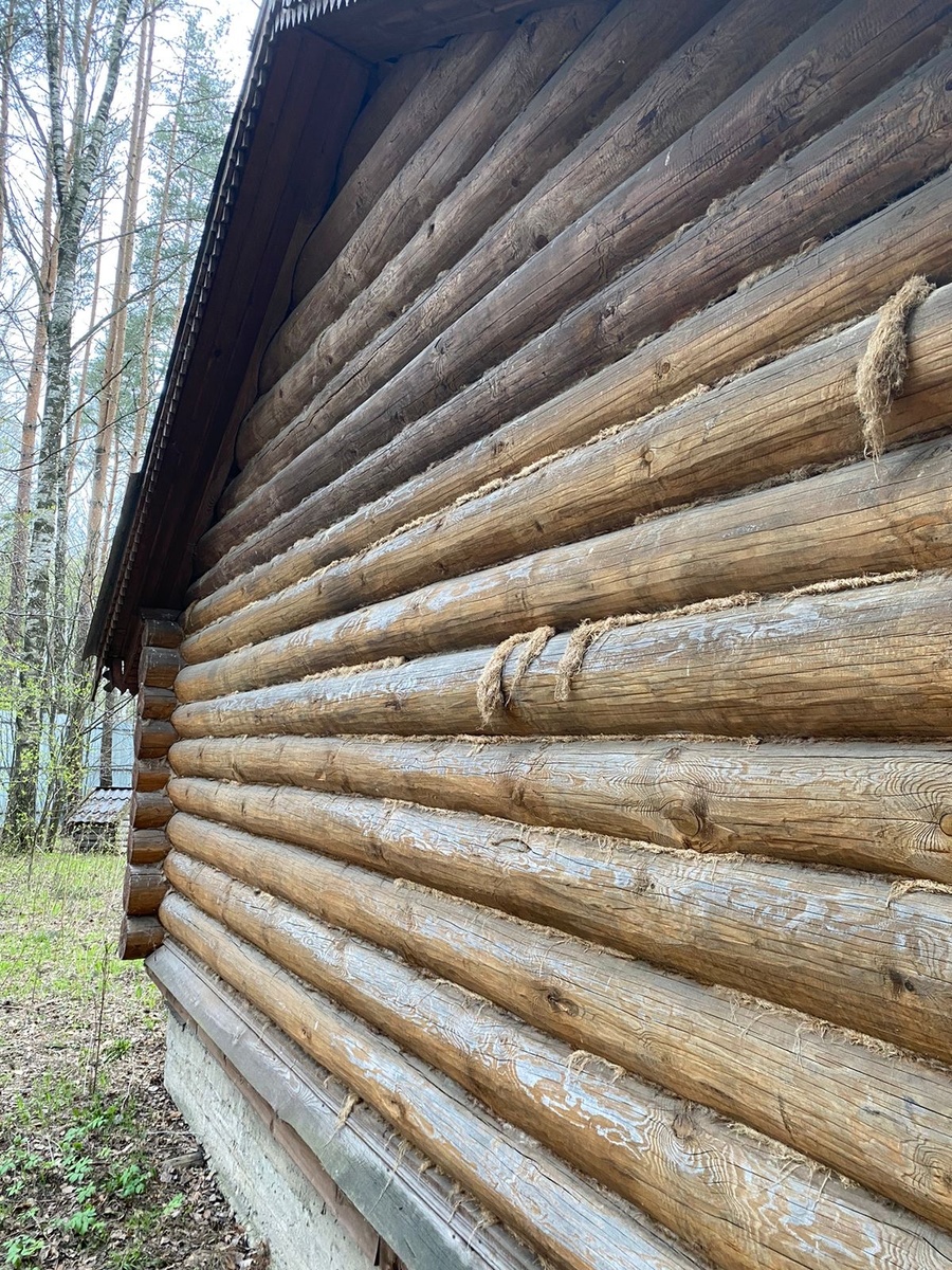 На фото видно как птицы повытаскивали джут