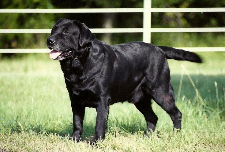 источник фото: https://i.pinimg.com/736x/9e/7d/8f/9e7d8faacc516171c7da71243d5b38df.jpg