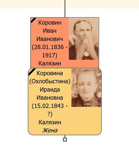 Отображение семейных связей в ДревоЖизни. 2019 год, после переезда на новую программу