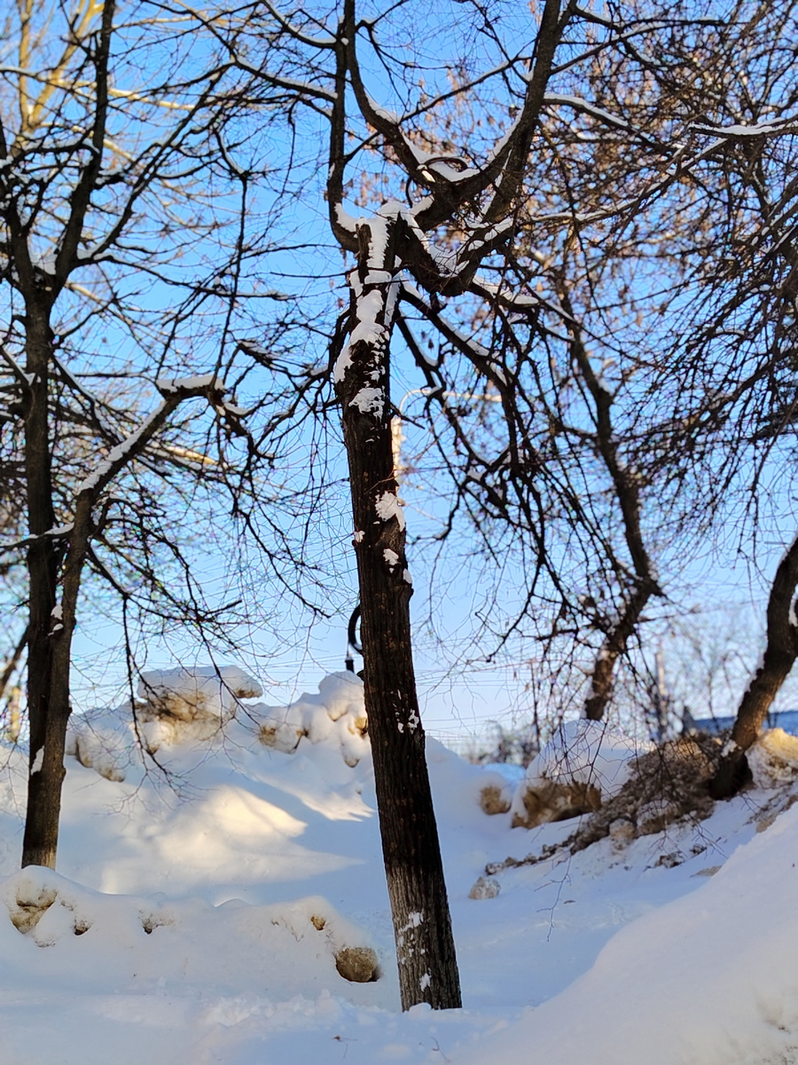 Все фото автора. 