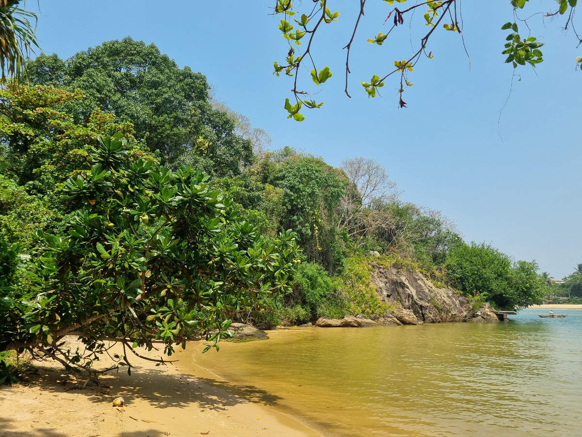 Шри- Ланка. Фото автора статьи.