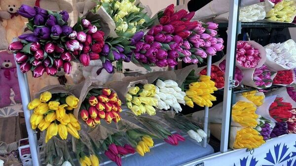    © Sputnik / Павел Вур