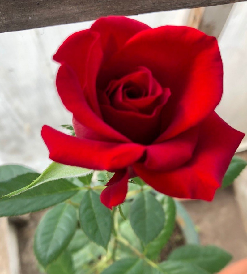 Фото авторв