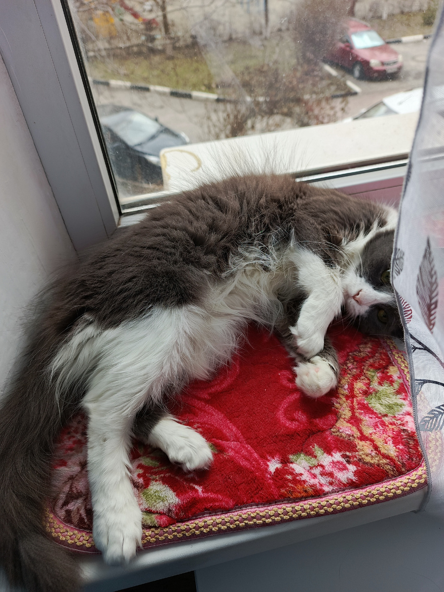 Фото автора