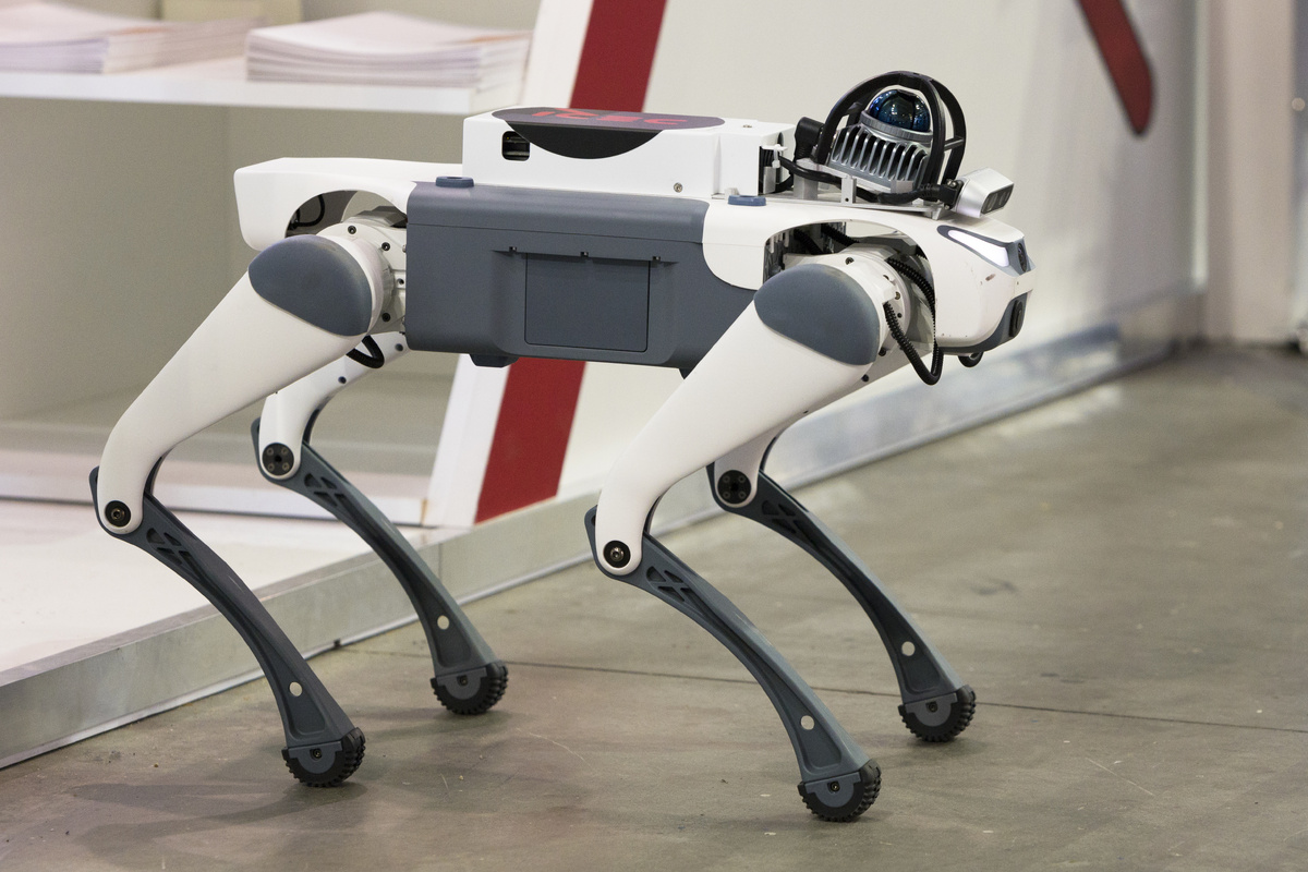    Робот-собака