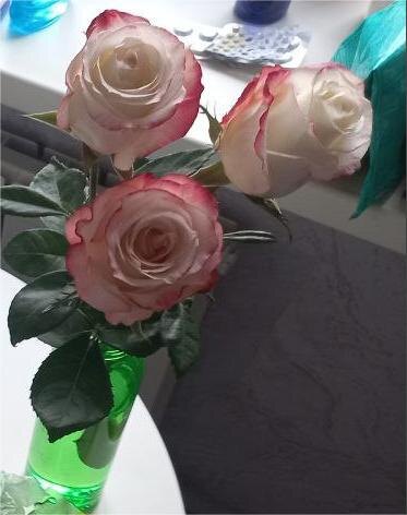 Розочки покупала на день рождения дочери