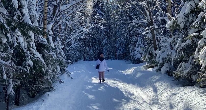    Фото prochepetsk.ru