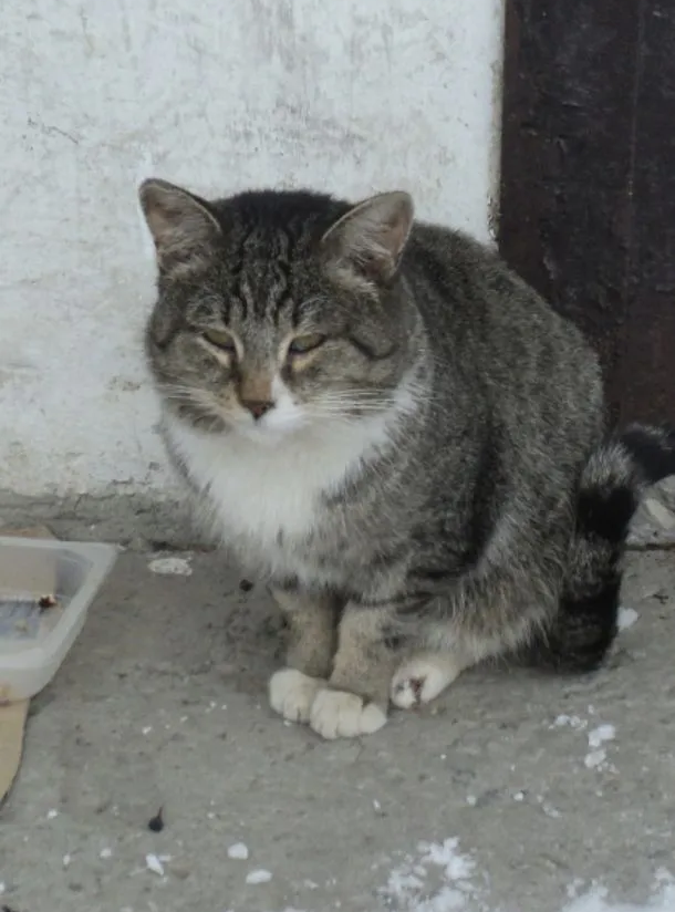 Фото предоставлено нашим волонтером.