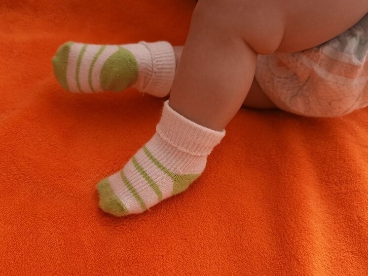     фото: архив МК в Великом Новгороде