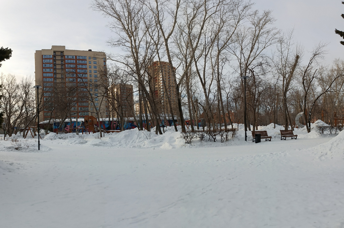 Где-то на просторах моего города. Гуляю в парке. Фотография автора, март 2026 года. 