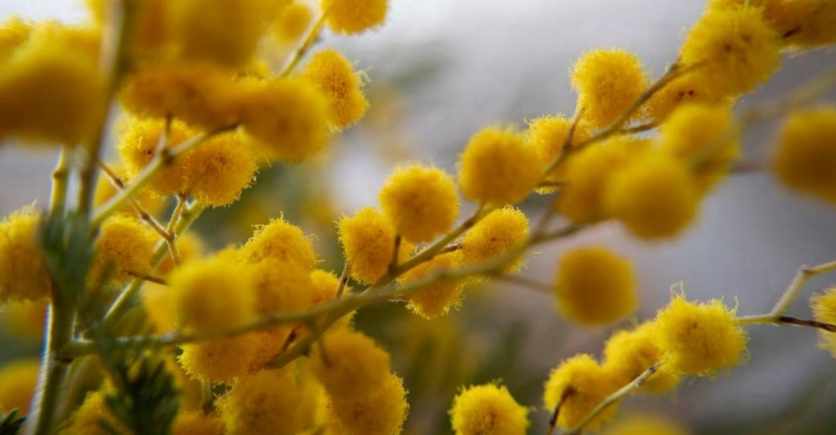   пресс-служба СКФУ