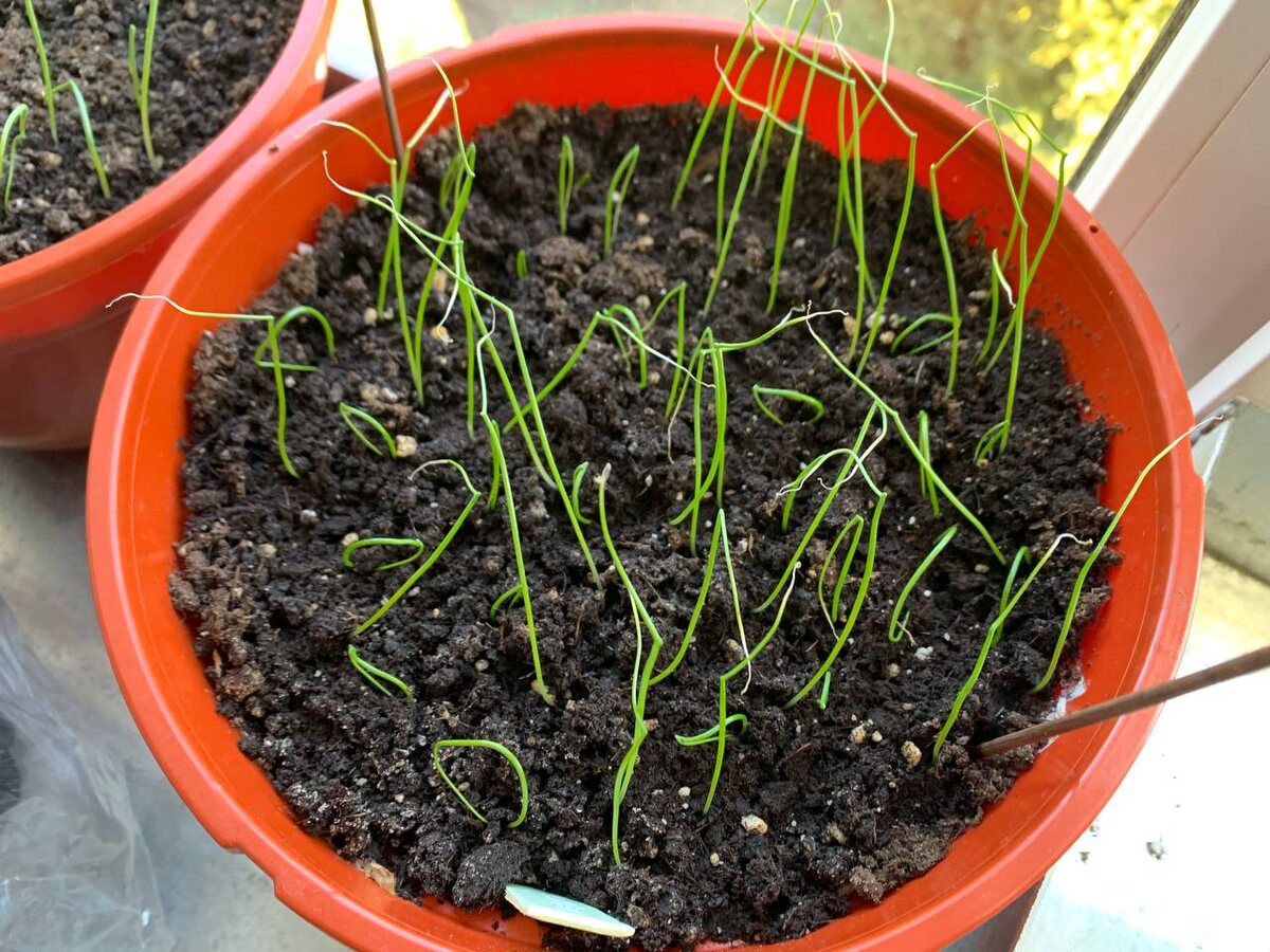 Космонавтов в шлемах не было. Фото автора 