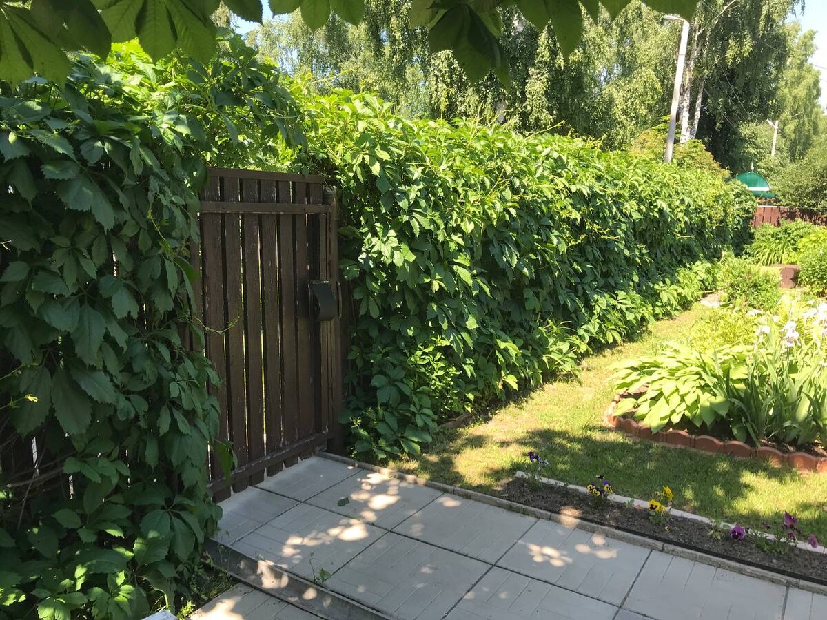 Участок моей мамы 