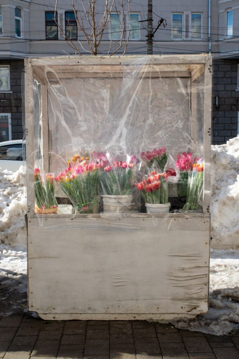 Листайте вправо, чтобы увидеть больше изображений