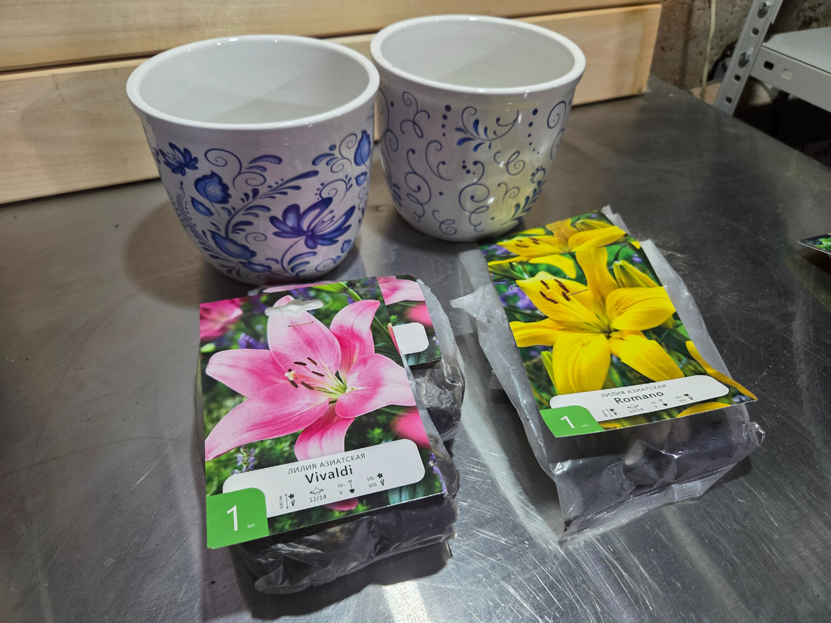 Фото: Зеленая леди, сад, семья и томатный сок