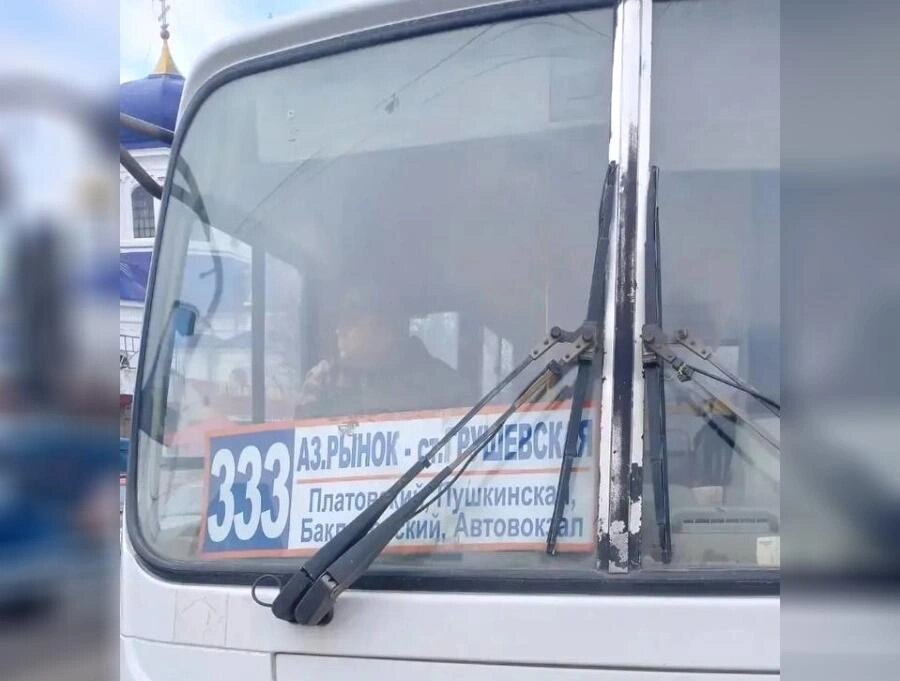    Фото: Алена Беликова / tg.org