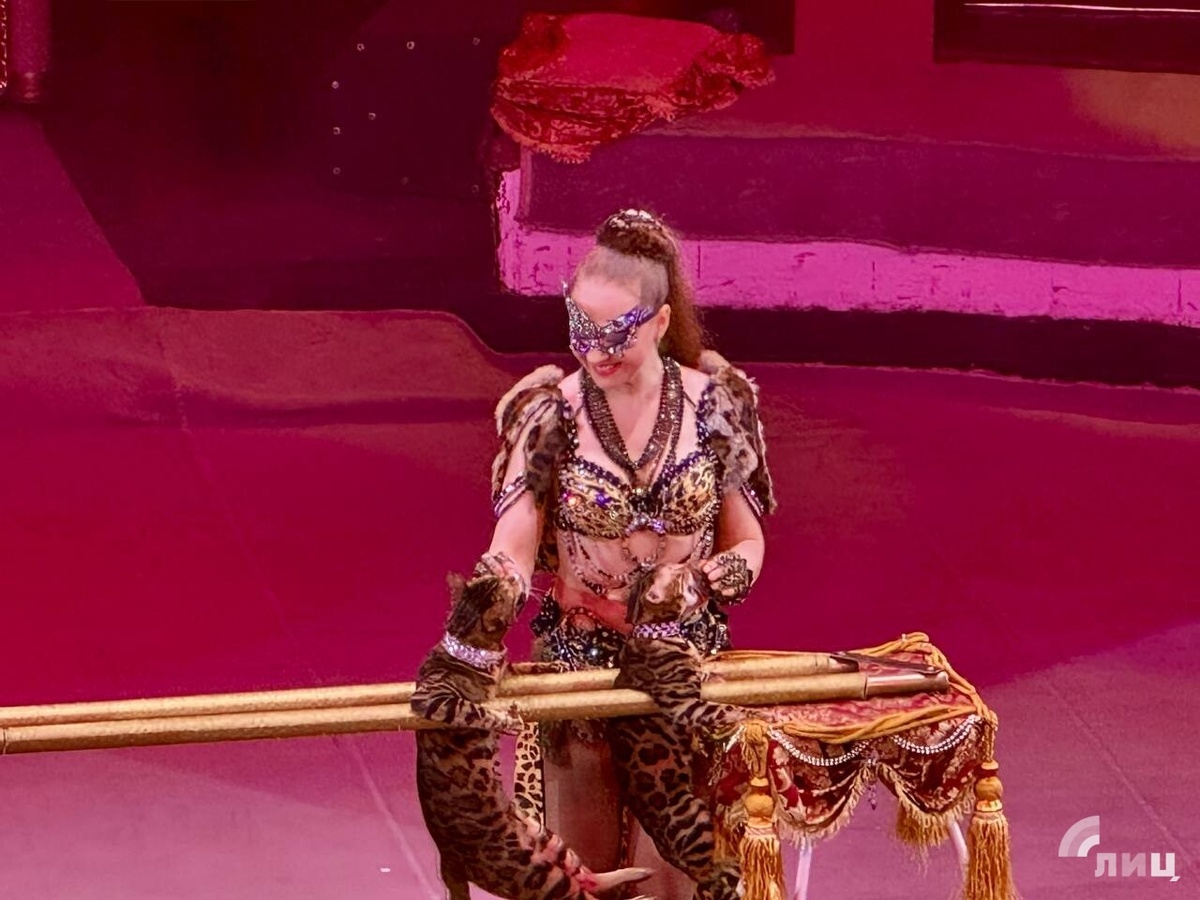    Фото: Луганский Информационный Центр