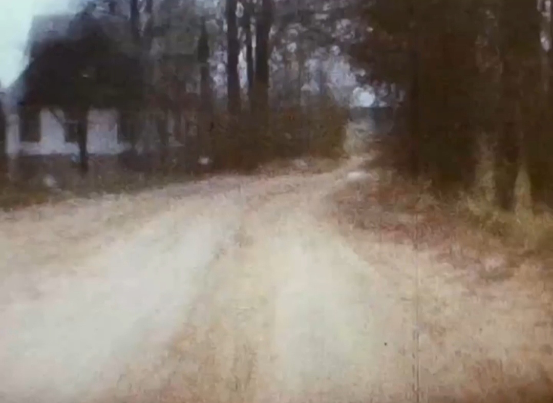 Дорога к дому со стороны леса. 