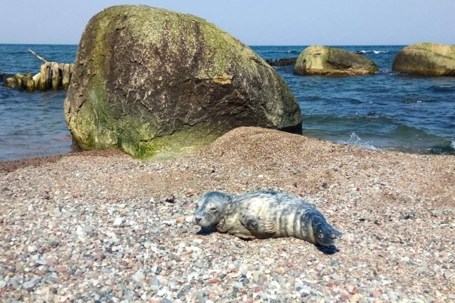   Фото из архива Калининград.Ru