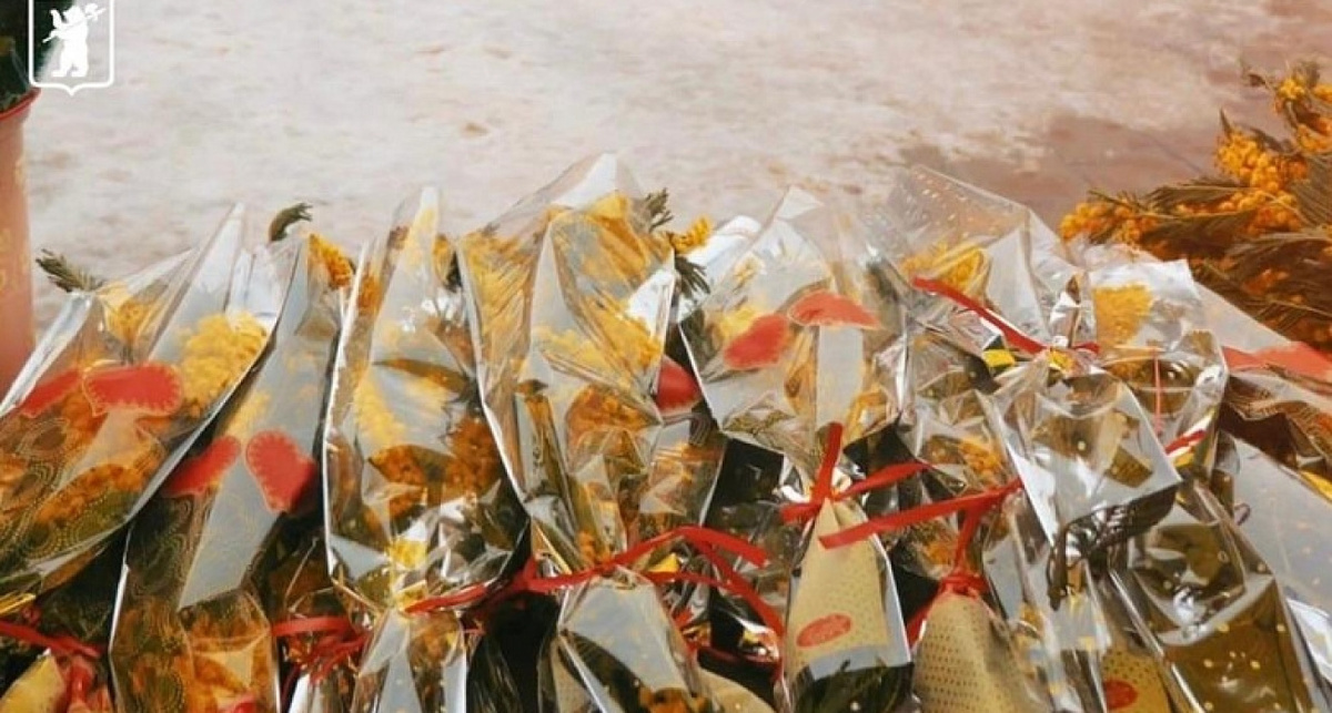    мэрия Ярославля