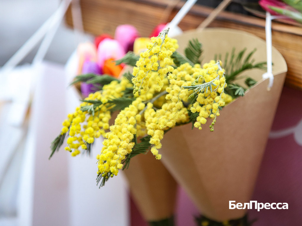     Фото: Валерия Шатько