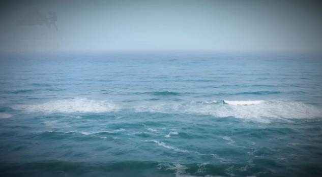 Фото: свободный доступ.