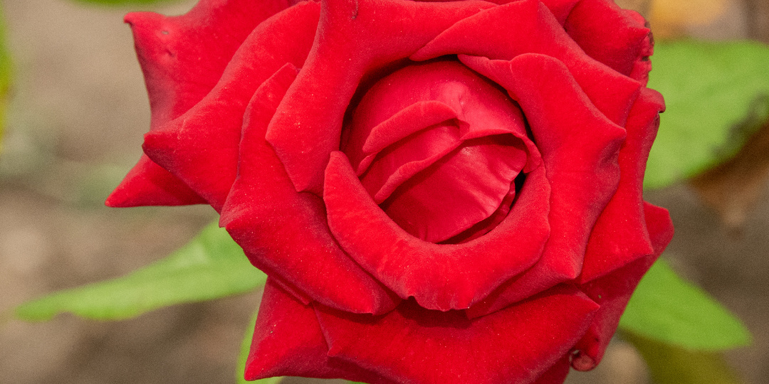 Праздник весны