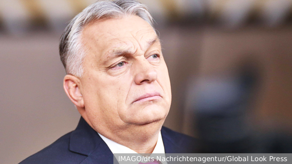     Фото: IMAGO/dts Nachrichtenagentur/Global Look Press   
 Текст: Вера Басилая