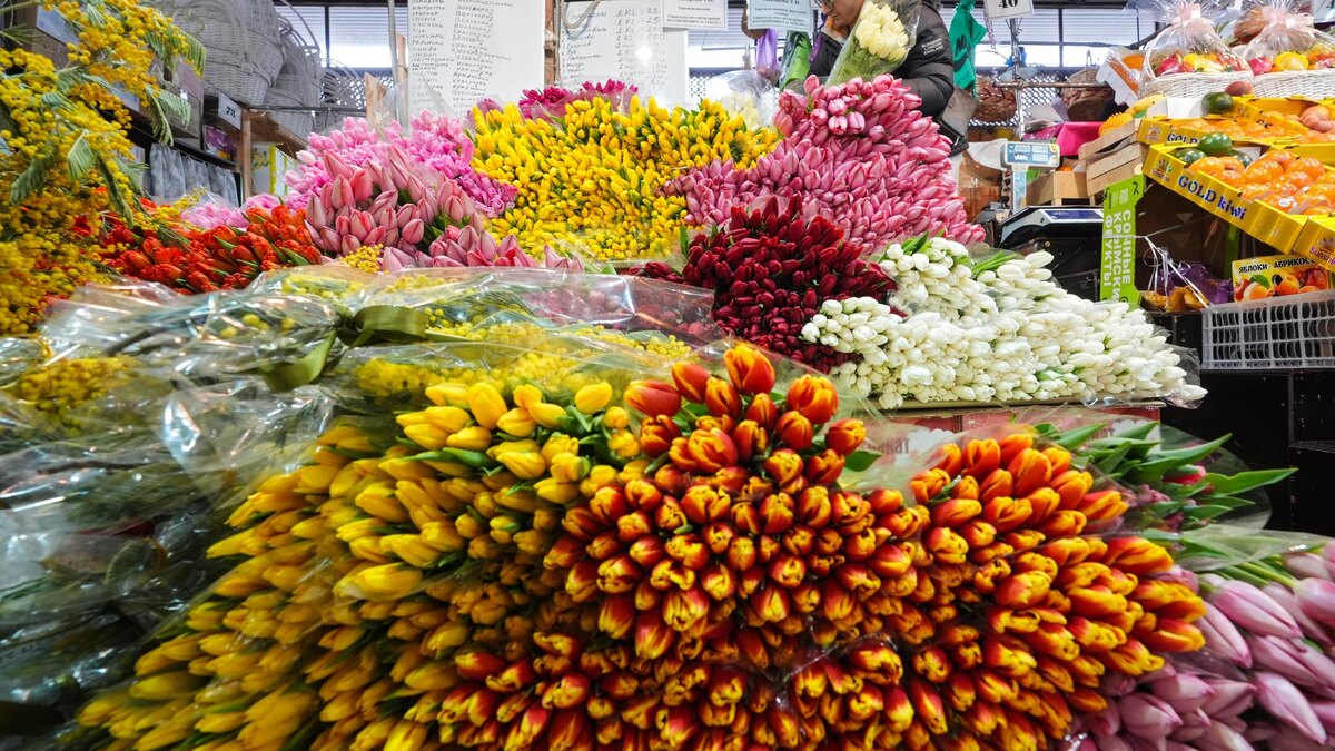    Фото: ИЗВЕСТИЯ/Эдуард Корниенко