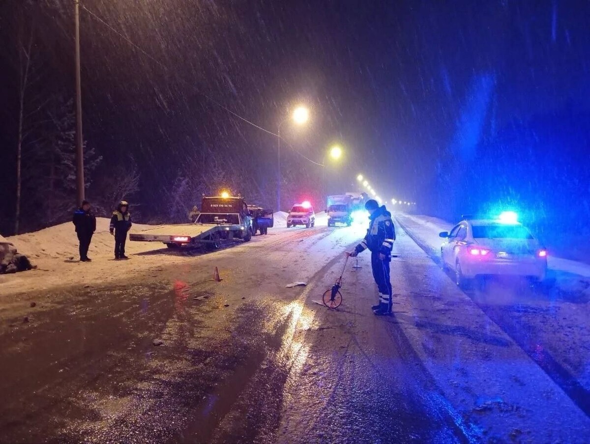     / Источник: © Госавтоинспекция Мордовии