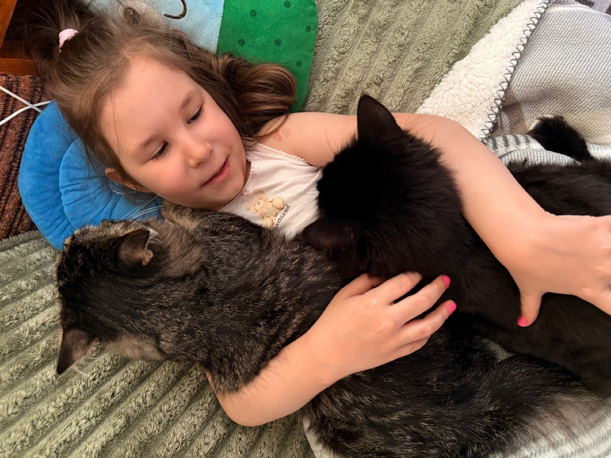 Филе повезло. Его новые хозяева уделяют котёнку много внимания