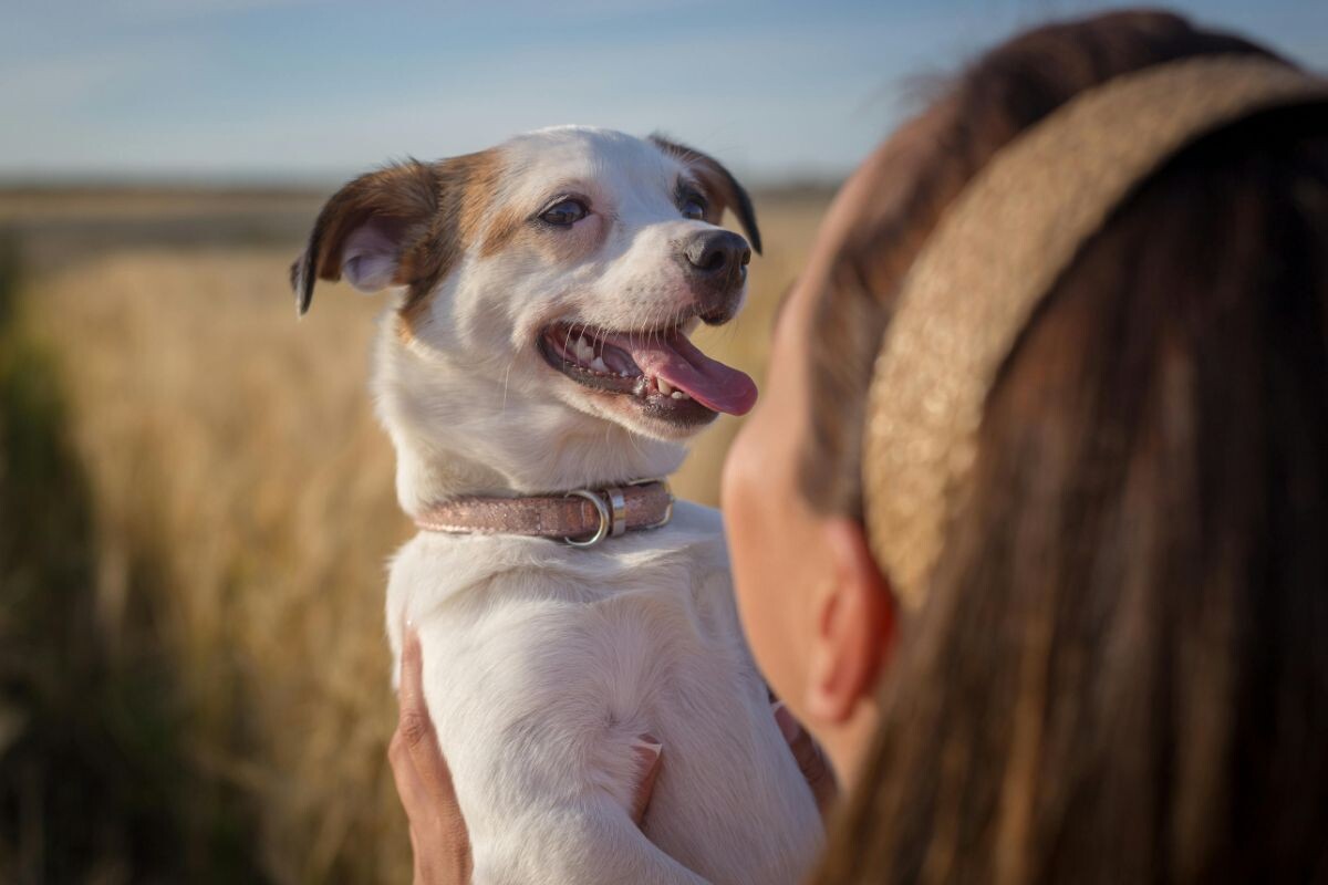 Счастливая хозяйка с собакой 