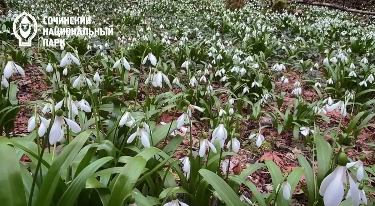    Фото: Наталья Елагина