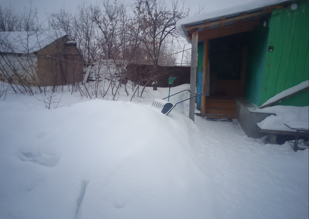 Фото нашего читателя "Юрий Стрелец". Снежный сугроб, надёжно укрыл Викторию (Клубнику) от лютых морозов. Южный Урал.