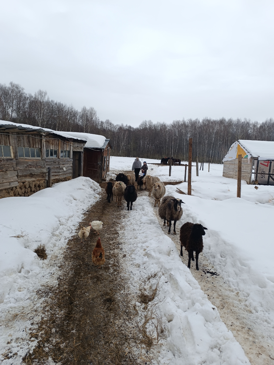 Комитет по встрече!