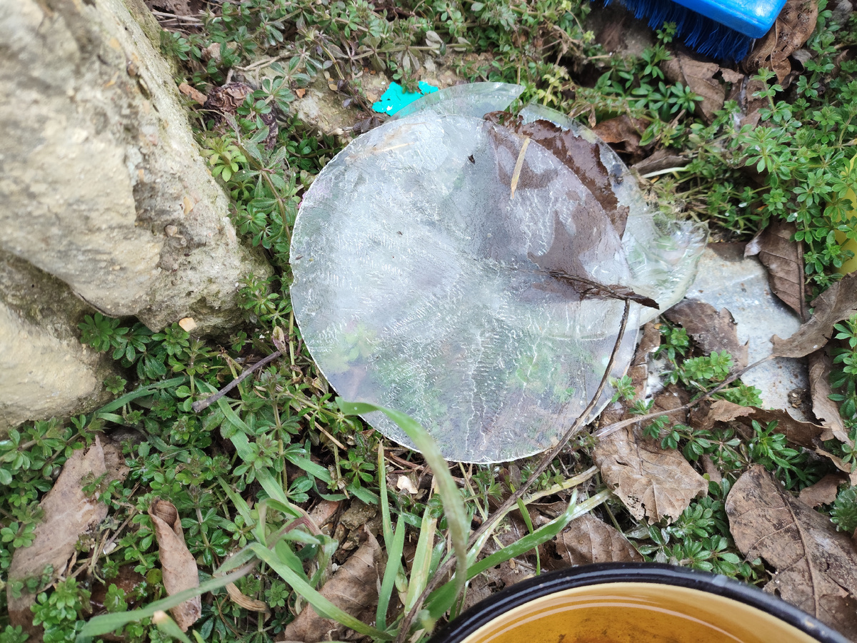 Утренний ледок