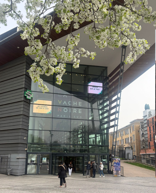 "Чёрная корова". 