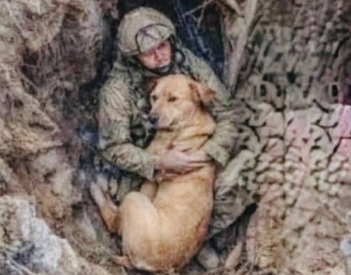 Не помню даже откуда у меня скрины этих кадров визуального контроля с птички