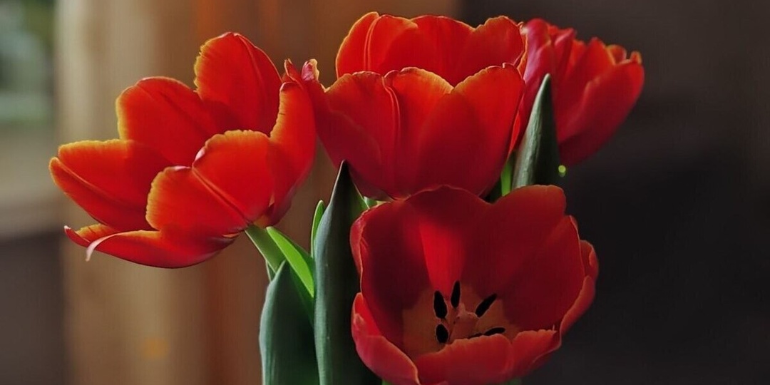 В Бурятии ожидается потепление до +7 градусов в Международный женский день