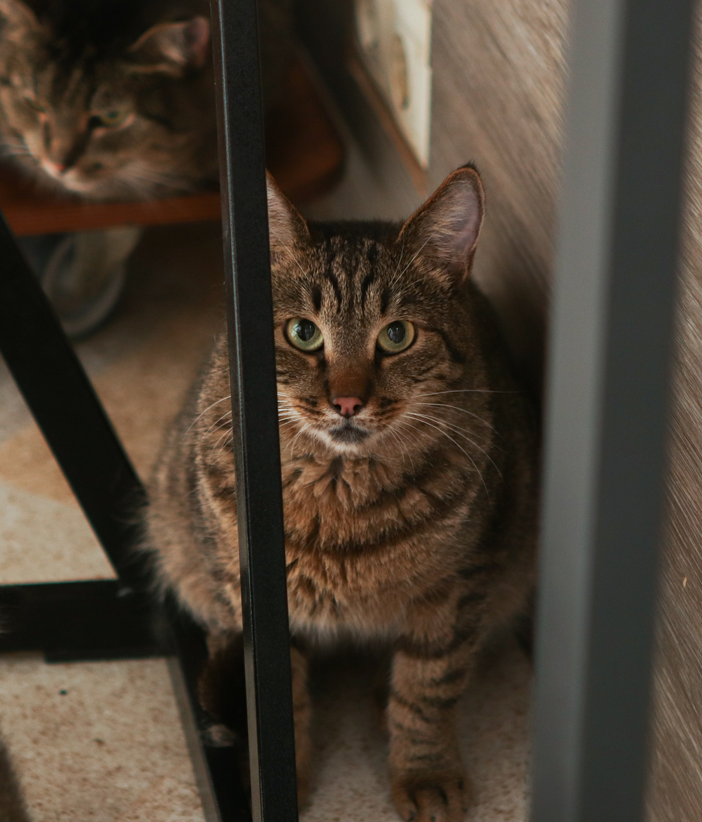 Опять девчата не с того начали))